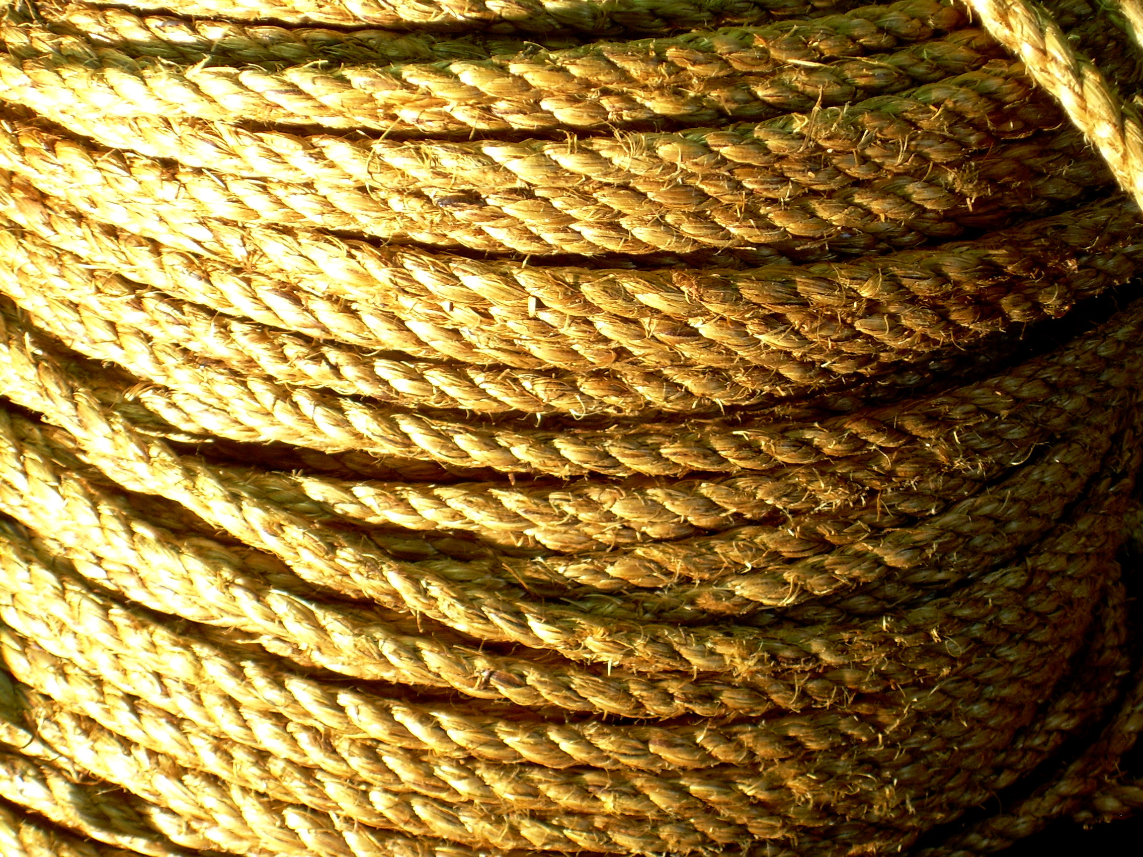 Manila Hemp Rope 3 8 X 600 Hollywood Expendables manila-hemp-rope-3-8-x-600-hollywood-expendables